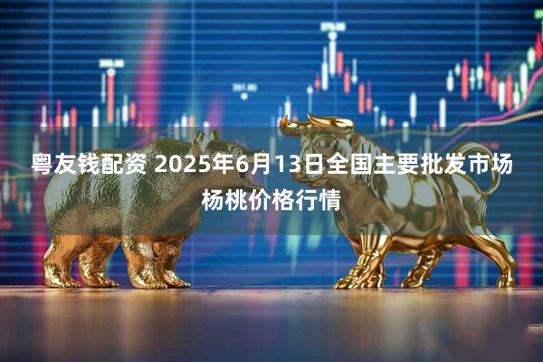 粤友钱配资 2025年6月13日全国主要批发市场杨桃价格行情